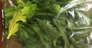 کیسه نانو نگهدارنده اسپک