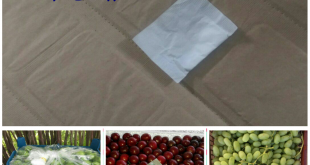 قرص نانو نگهدارنده