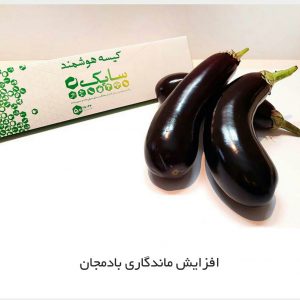 کیسه نانو بادمجان