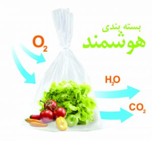 مرغوب ترین کیسه نانو