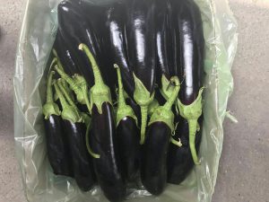 کیسه نانو بادمجان