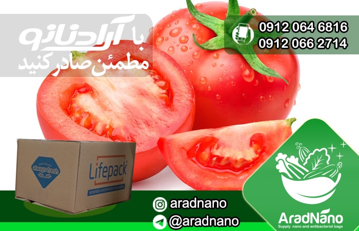 صادرات گوجه فرنگی گلخانه ای-min