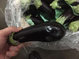 کیسه نانو آنتی باکتریال مرغوب